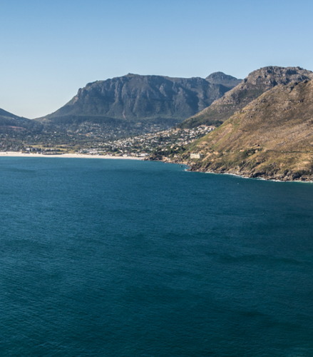 Foto - The Best of Cape Town: Atlantic Seaboard and Cape Point with Wine Tasting - Private Full-Day Tour